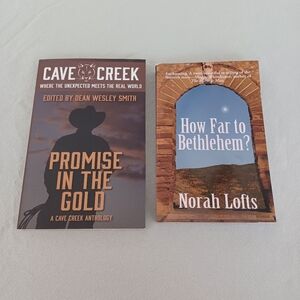 2 New Paperback Books Novels